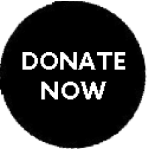 Donate now button Donate now button