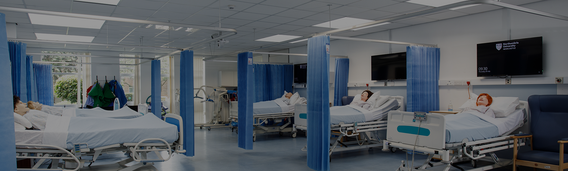 Workforce development