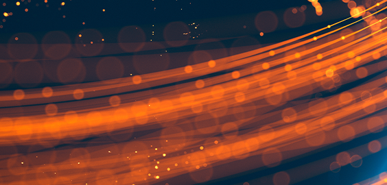 NESCA - Orange stands zoomed in