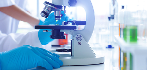 NUTRAN - Basic Scientific Discovery 