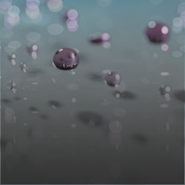 Polymer Upscale Facility