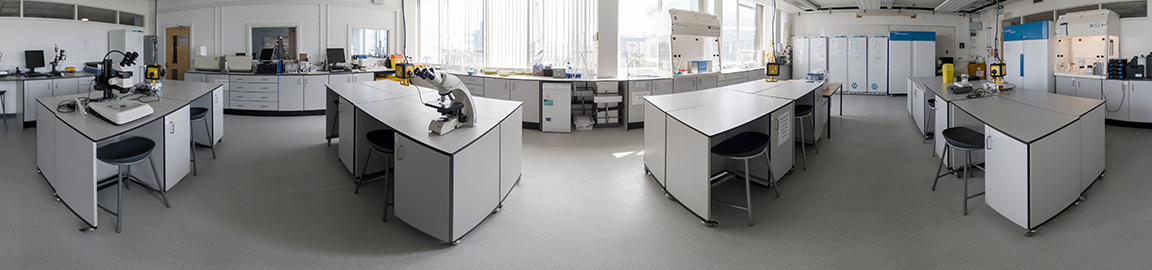 360 view of lab