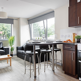 Accommodation studio kitchen