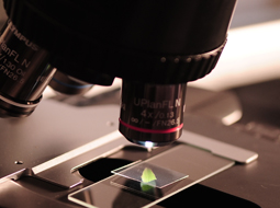 Sidebar image for Department of Applied Sciences