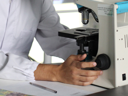 Sidebar image for Applied Sciences Related Courses