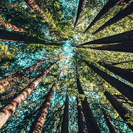 a close up of a colorful wall