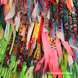 a bunch of bananas on display in a store