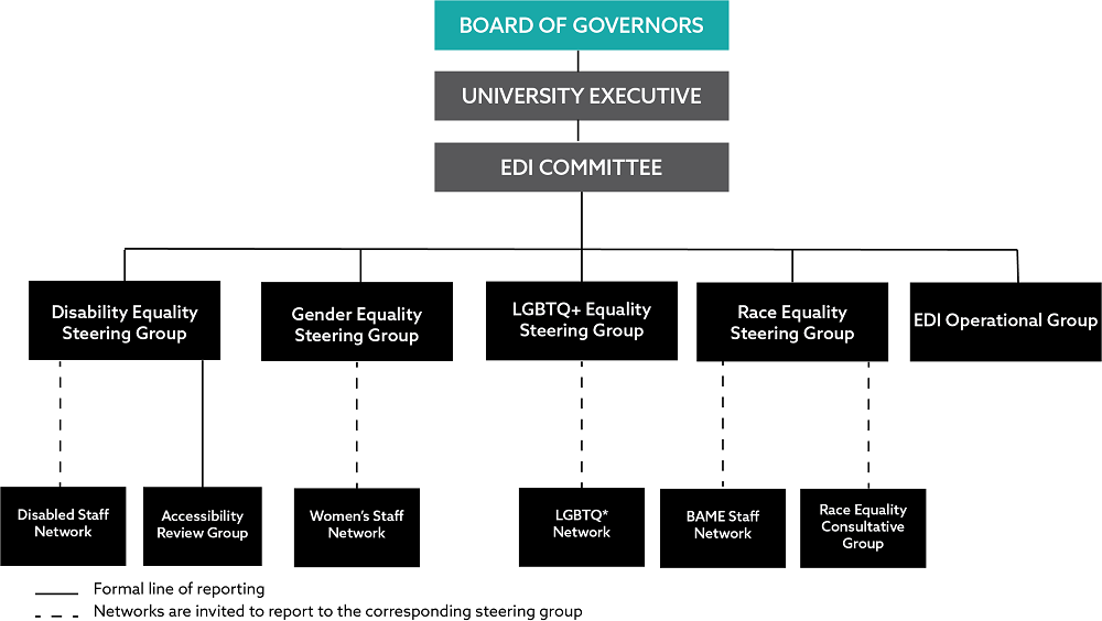 The EDI governance at Northumbria with EDI Committee at the top, followed by Equality Steering Groups then networks and consultative groups