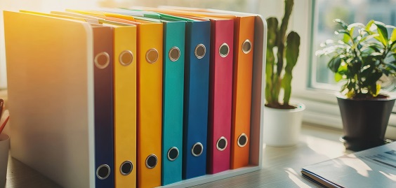 A bank of thick folders alongside one another, all in different colours 