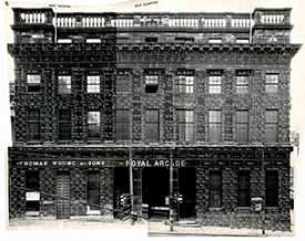 Cat Auburn (4) - Web