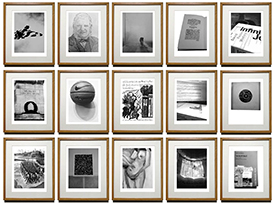 Cultivating Curiosity _FULL Image - Web