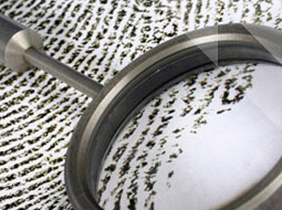 Sidebar image for Centre for Evidence and Criminal Justice Studies