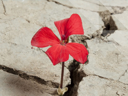 Sidebar image for Department of Geography