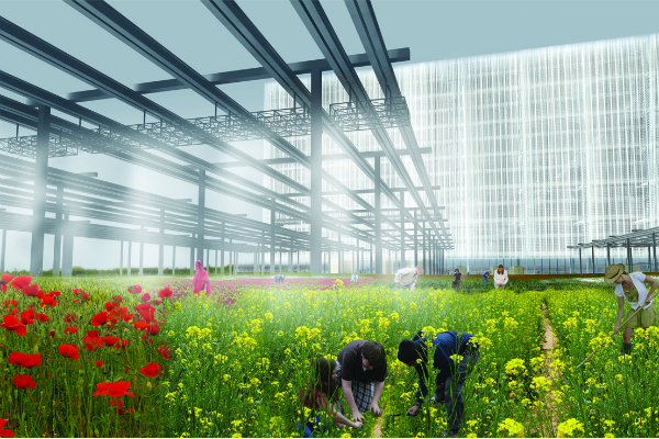 Architecture Mark Whiting 2013