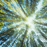 Geography Environmental Geochemistry Research