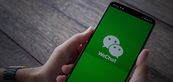 a hand holding a cellphone