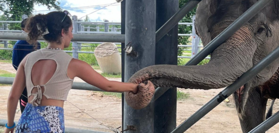 a plane sitting on an airplane
