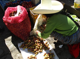 Sidebar image for Centre for International Development