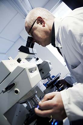 FORENSIC REPORTAGE - Web