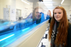 Isabella Ponton - Web