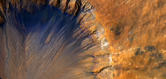 a close up of a horse