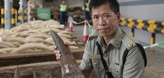 a person wearing a costume