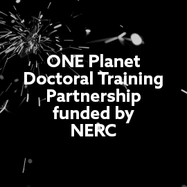 fireworks in the sky