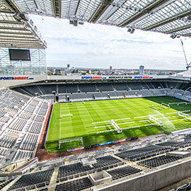 a stadium full of people