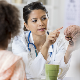 Dr looking at plastic model brain