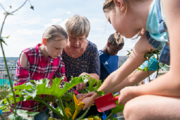 Sidebar image for School of Communities and Education