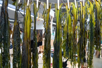 Henry Horgan-Davison, 3D Design BA (Hons)