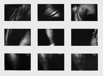 Caption: Artwork by Dr Ingrid Pollard - Copyright Ingrid Pollard, Not for commercial use