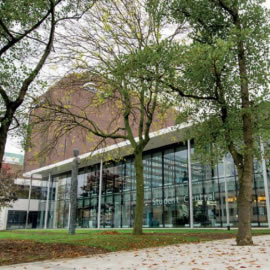 a large tree in a park