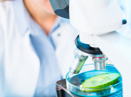 Sidebar image for Applied Sciences