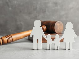 Sidebar image for The Family Justice Research group