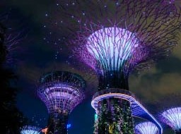 Sidebar image for Global Development Futures