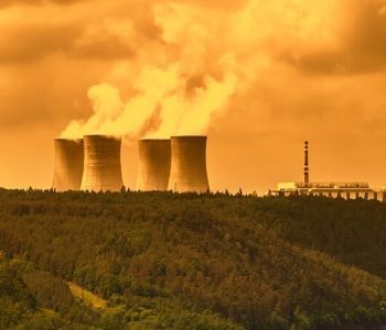a large green field with trees in the background