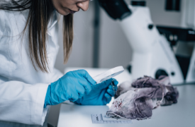 a person in a blue shirt