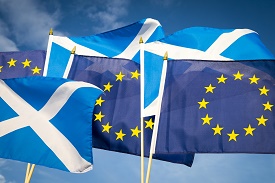 a close up of a flag