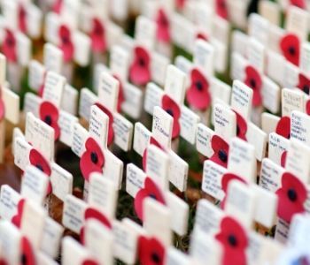 a close up of a store