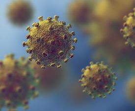 Visualisation of coronavirus