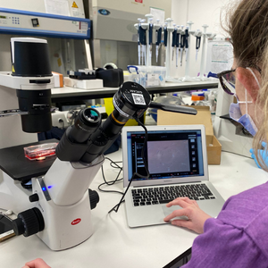 Scientists working in a lab at Northumbria University researching new treatments for childhood leukaemia