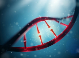 a close up of a window