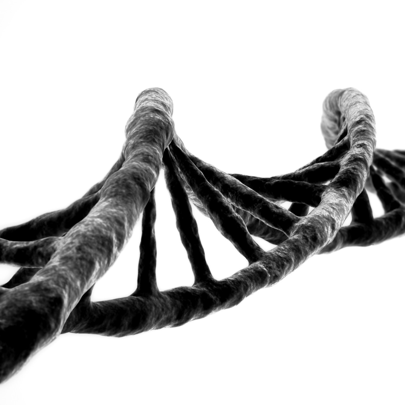 £1 million funding award supports leading new medical research at Northumbria University