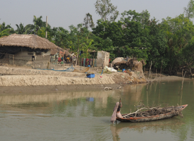 A woman transporting wood by boat in the Sundarbans, West Bengal. Increasingly violent weather events and rising sea levels are increasing pressure on natural resources, undermining ecosystems and livelihoods and forcing populations out of the deltas.