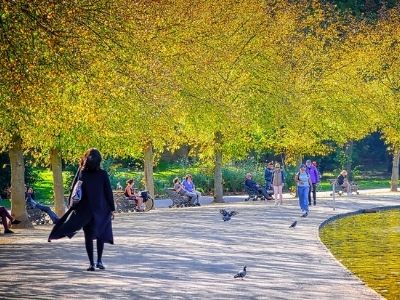People walking in a park.