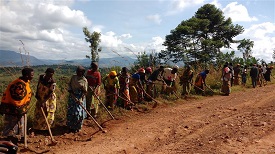 People tending to a road