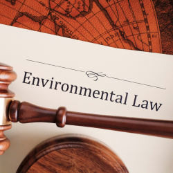 Environmental Law