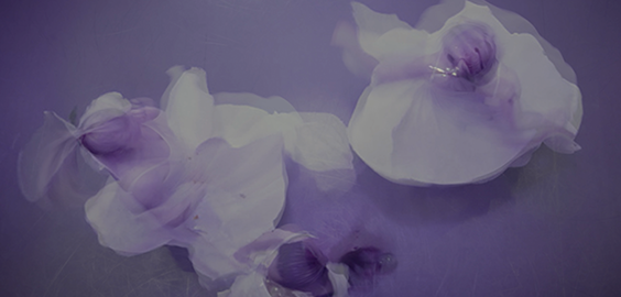 Northern Dance half width pod