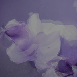 Northern Dance square pod